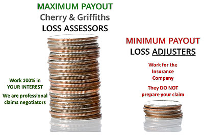 difference between loss assessor and loss adjuster